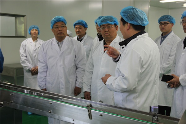 2019年4月25日山東省黨委政策研究室來公司進行調研會議