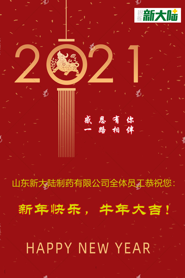 山東新大陸制藥有限公司恭祝您新年快樂！