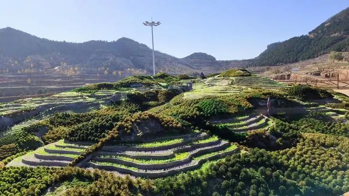 非凡十年，平邑縣九間棚續寫沂蒙精神新篇章